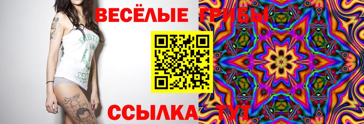 Псилоцибиновые грибы мицелий Чайковский