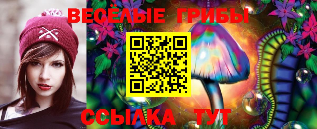 Чайковский  Галлюциногенные грибы Cubensis  Псилоцибиновые грибы Psilocybine cubensis  Вход с VPN 