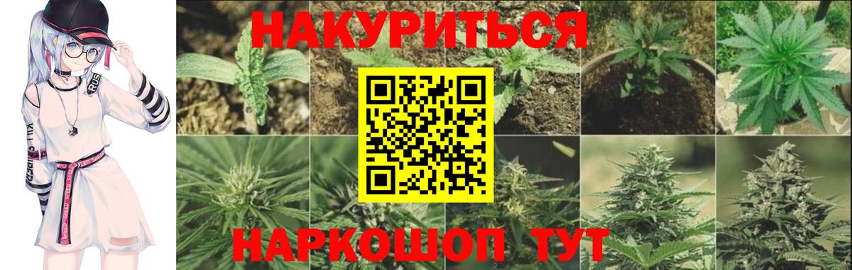 Каннабис планчик  Вход с VPN  МАРИХУАНА семена  Каннабис планчик  Чайковский 